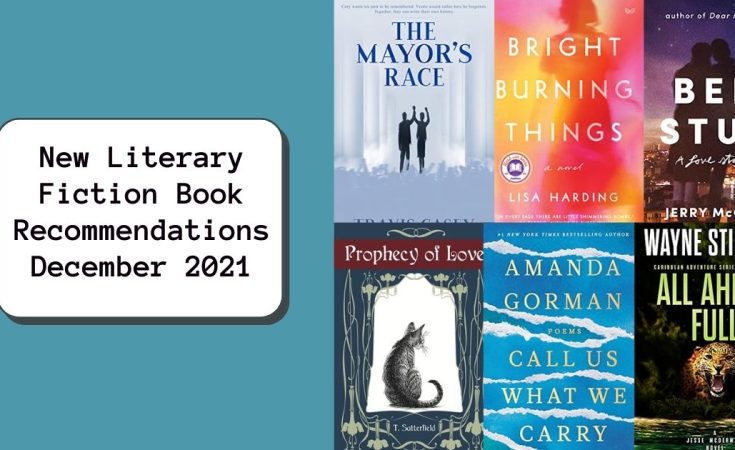 New Literary Fiction Book Recommendations