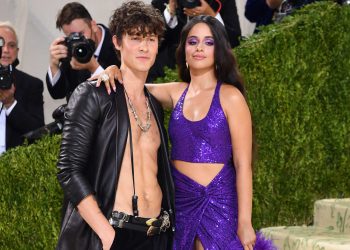 The Internet Is Grieving The Shawn Mendes and Camila Cabello