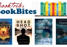 BookTrib’s Bites: Last-Minute Holiday Gifts Ideas in Diverse Genres