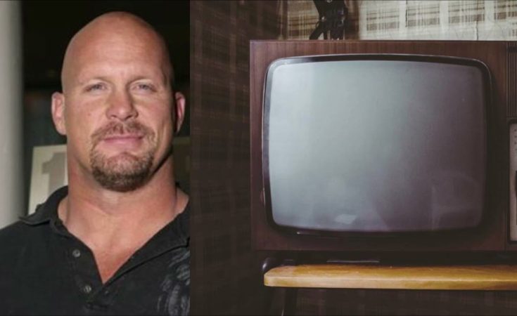 Steve Austin on Which TV Shows he Liked as a