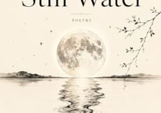 Literary Fiction Books About Identity and Belonging – NewInBooks