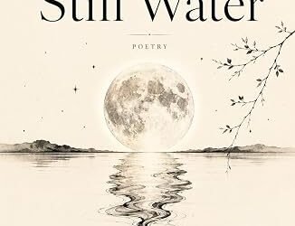 Literary Fiction Books About Identity and Belonging – NewInBooks