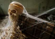 From wilds to clusters, pokie games can mirror horror movies