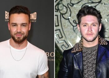 Niall Horan Plays Voice of Late One Direction Bandmate Liam Payne During Concert Tribute