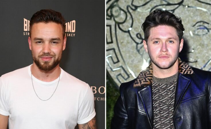 Niall Horan Plays Voice of Late One Direction Bandmate Liam Payne During Concert Tribute