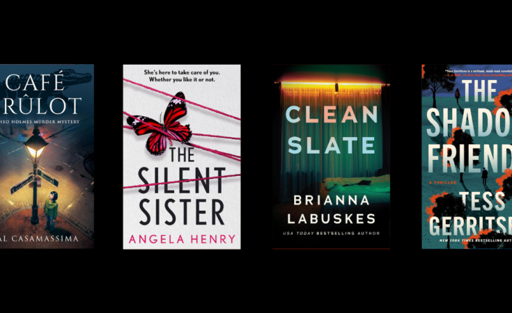 New Mystery and Thriller Books to Read | September 1 – NewInBooks
