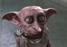 Harry Potter Fans Have One Big Question About HBO Maxs New TV Show Dobby Casting Harry Potter Fans Have One Big Question About HBO Maxs New TV Show Dobby Casting