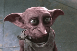 Harry Potter Fans Have One Big Question About HBO Maxs New TV Show Dobby Casting