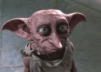 Harry Potter Fans Have One Big Question About HBO Maxs New TV Show Dobby Casting