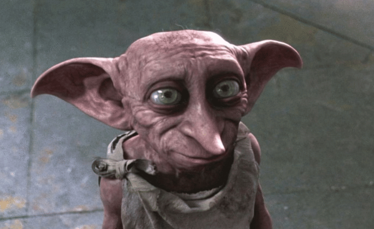 Harry Potter Fans Have One Big Question About HBO Maxs New TV Show Dobby Casting