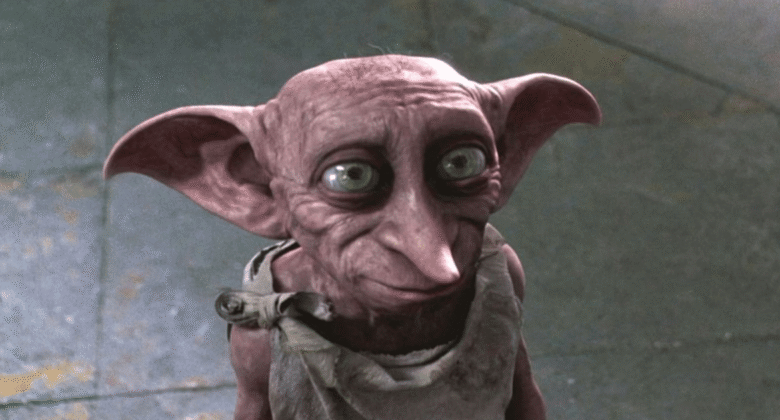 Harry Potter Fans Have One Big Question About HBO Maxs New TV Show Dobby Casting