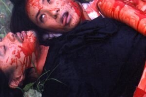 The forgotten hybrids of Japans Y2K horror boom
